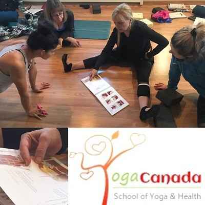 200-Hour Yoga Teacher Training