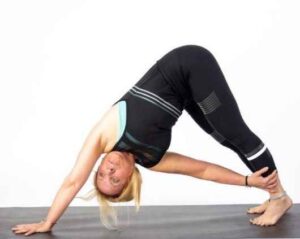 Revolved Downward Facing Dog Pose – Parivrtta Adho Mukha Svanasana