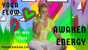 Yoga Vinyasa Flow