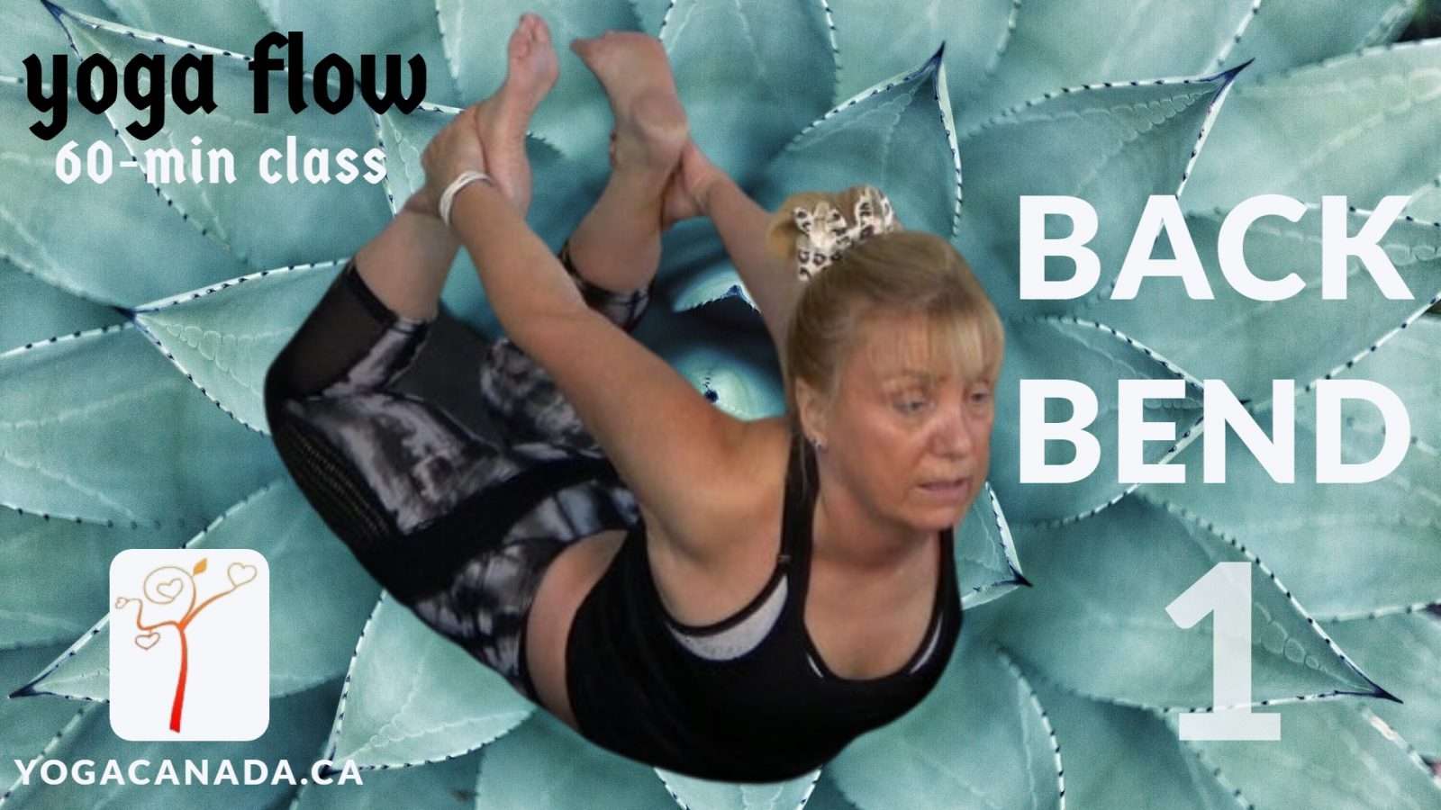 Yoga Vinyasa Flow