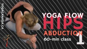 Yoga Vinyasa Flow