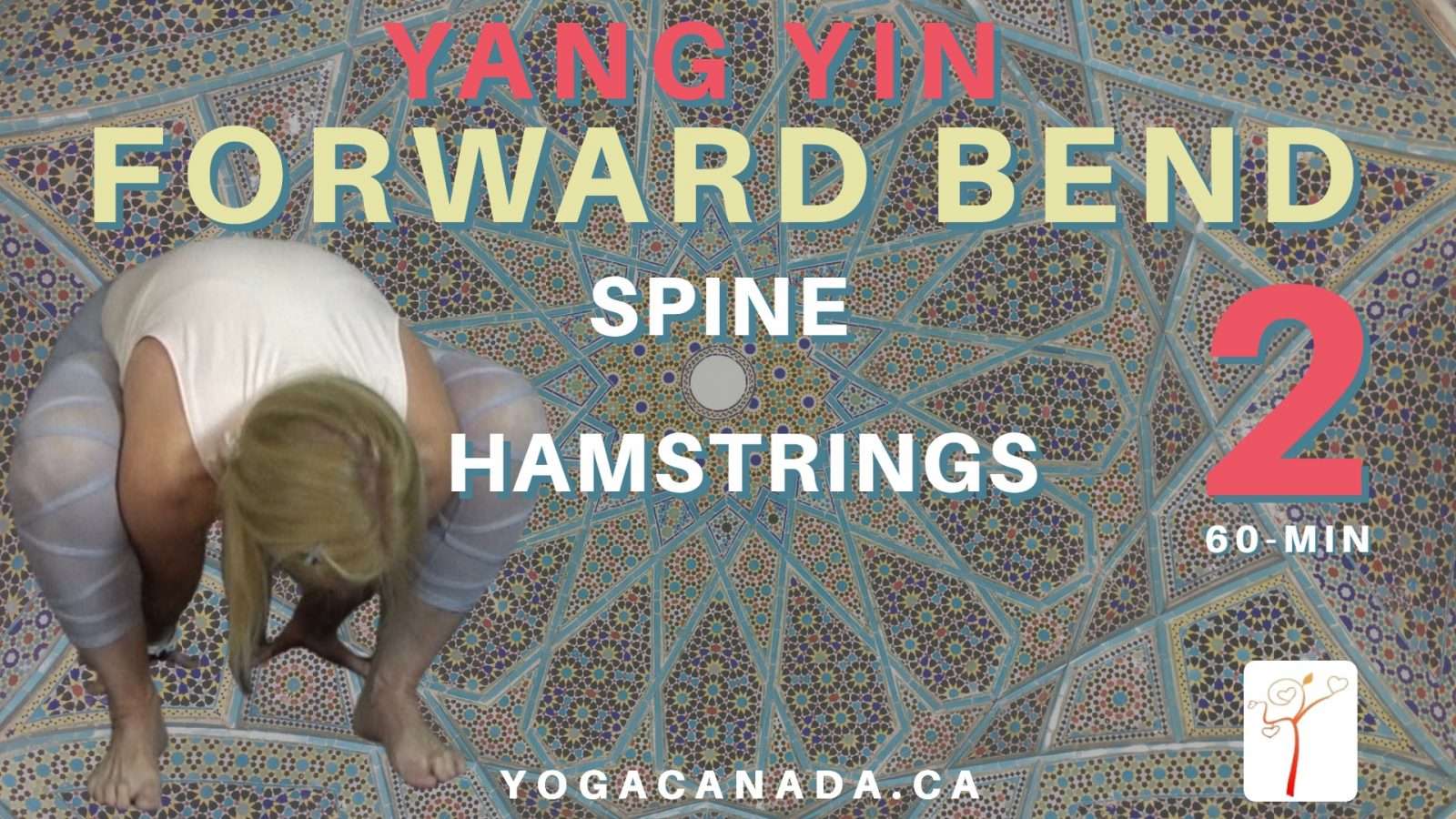 Yang Yin Yoga Class