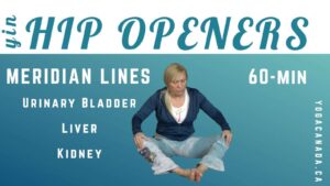 Yin Hip Openers