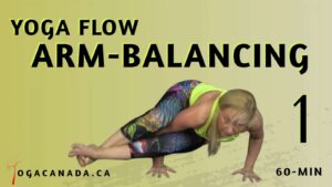 Yoga Vinyasa Flow
