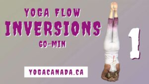 Yoga Vinyasa Flow