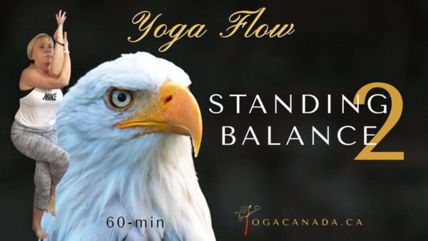 Yoga Vinyasa Flow