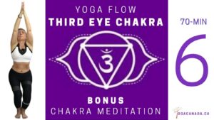 Third Eye Chakra, ajna chakra, ajna
