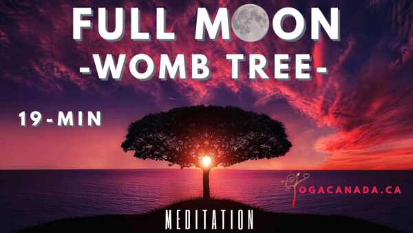 Meditation - Full Moon (womb tree)