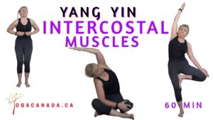Yang Yin Yoga Class