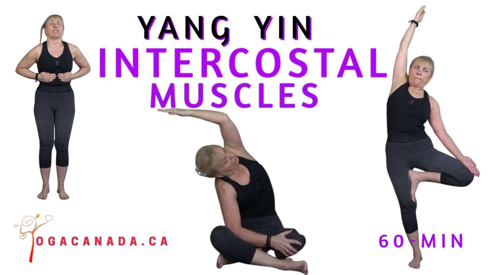 Yang Yin Yoga Class