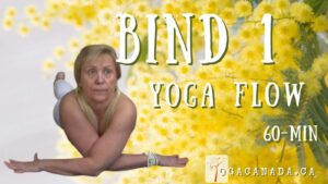 Yoga Vinyasa Flow