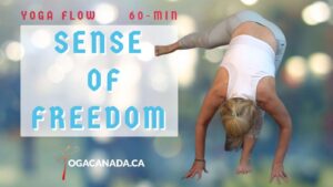 Yoga Vinyasa Flow