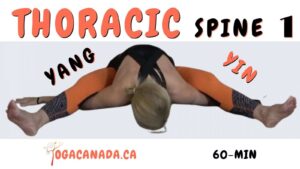 Yoga Vinyasa Flow