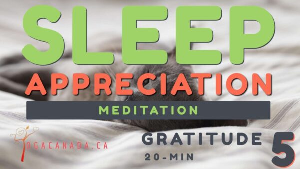 Meditation - Sleep Appreciation For Gratitude 5