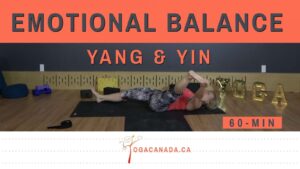 Yang Yin Yoga Class