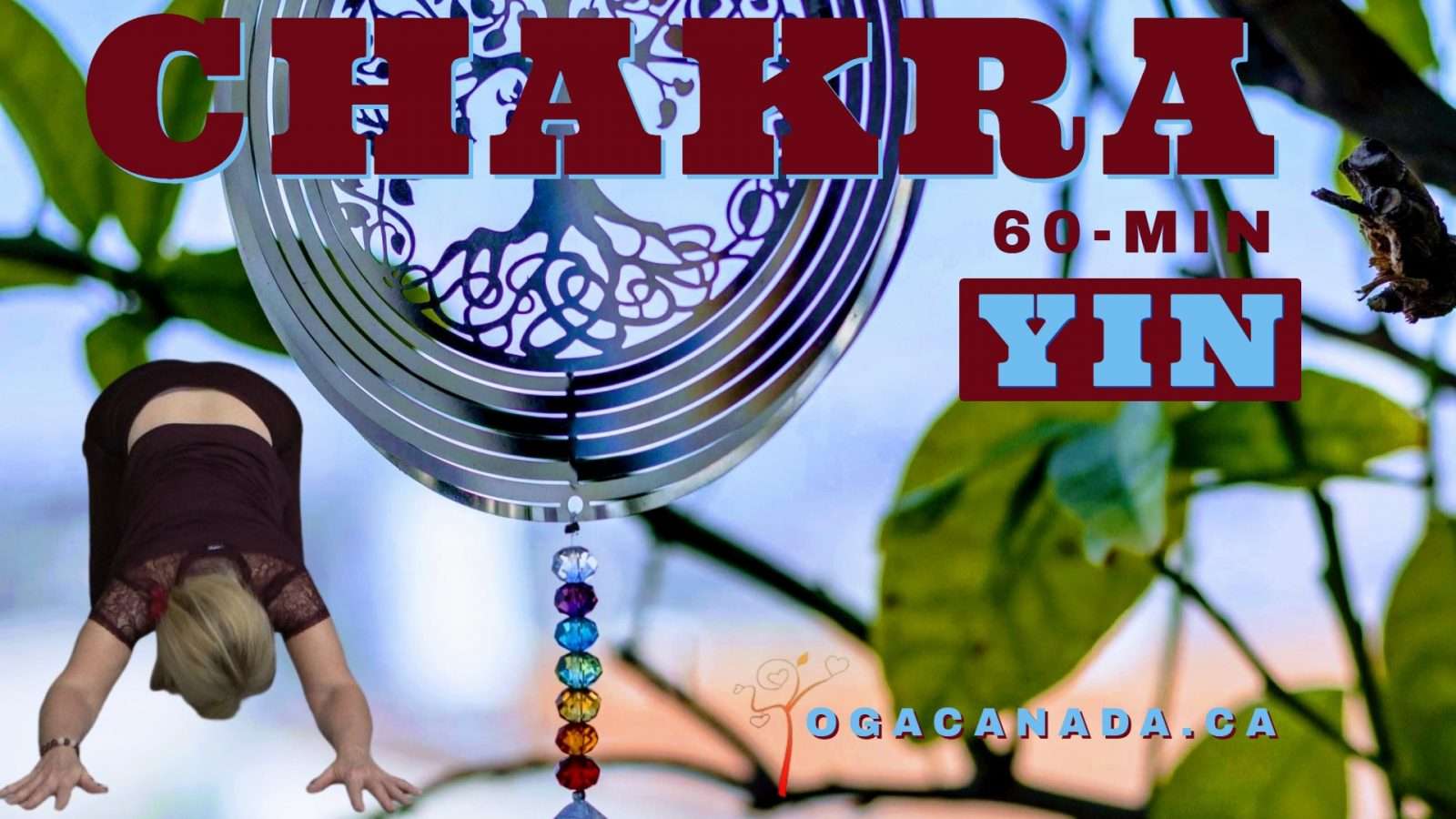 Yin Chakra