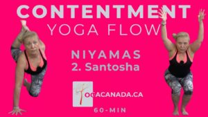 Yoga Vinyasa Flow