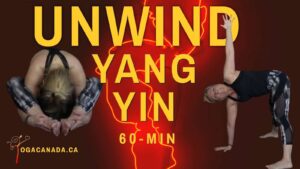 Yang Yin Yoga Class