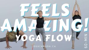 Yoga Vinyasa Flow