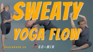 Yoga Vinyasa Flow