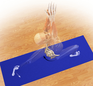 Warrior I Yoga Pose