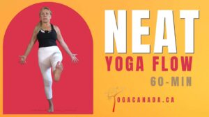 Yoga Vinyasa Flow