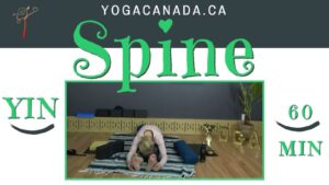 Yin Yoga Class