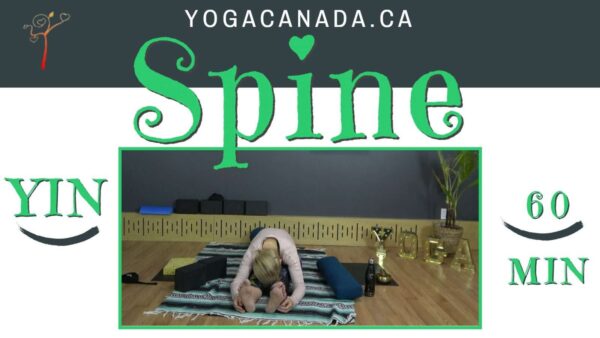 Yin Yoga Class