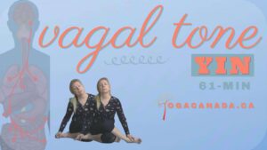 Yin Yoga Class