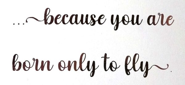 Card - Shaker OMs - Fly High Dream Big #A290 - Image 7
