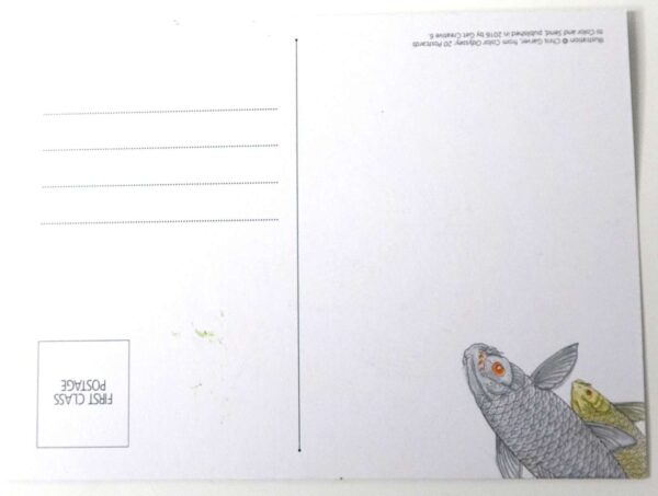 Postcard - Tail-Fin Look Great A301