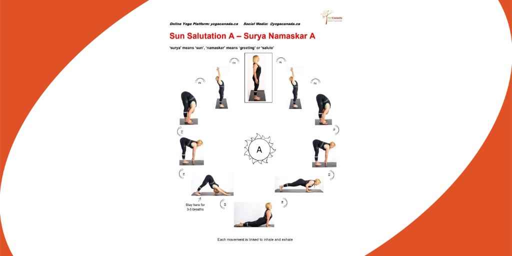 Sun Salutation A, Surya Namaskar, Yoga Sun Salutation
