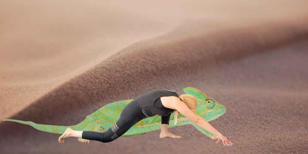 Lizard pose, Lizard yoga pose, Utthan Pristhasana  