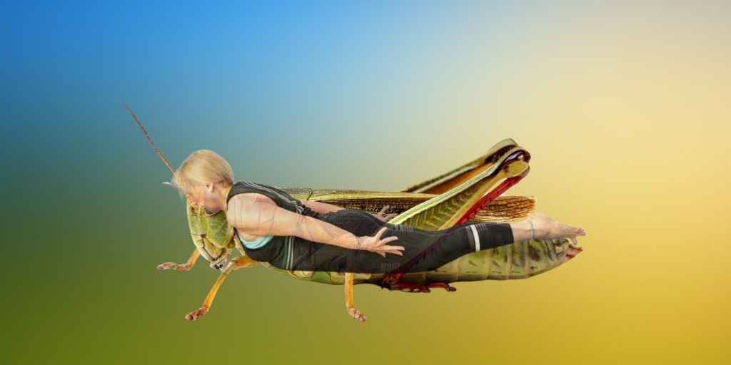 Locust pose, Shalabhasana, yoga pose