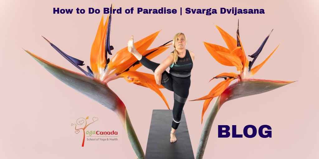 Bird of paradise pose