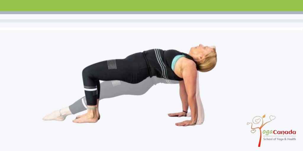 Incline Plank pose, Reverse Table Top pose