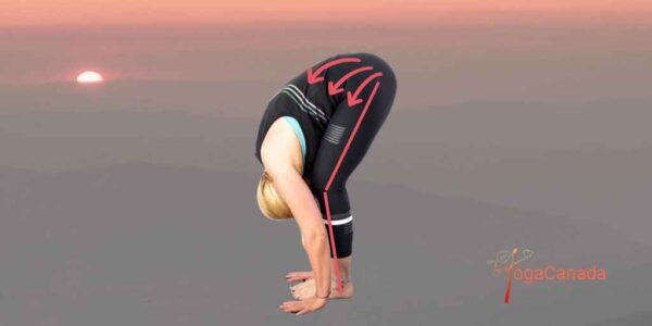 Forward-bending yoga pose, Why Bending At The Hips Properly Is So Good For Your West Body Side?