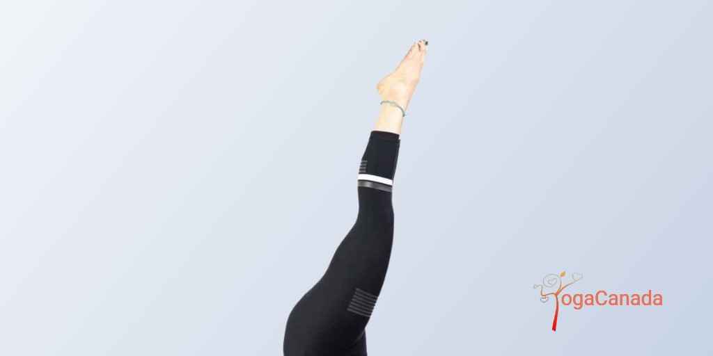 Shoulderstand yoga pose