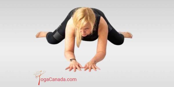 How to do frog yoga pose